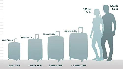 Pacsafe Luggage Toursafe Exp29, Black