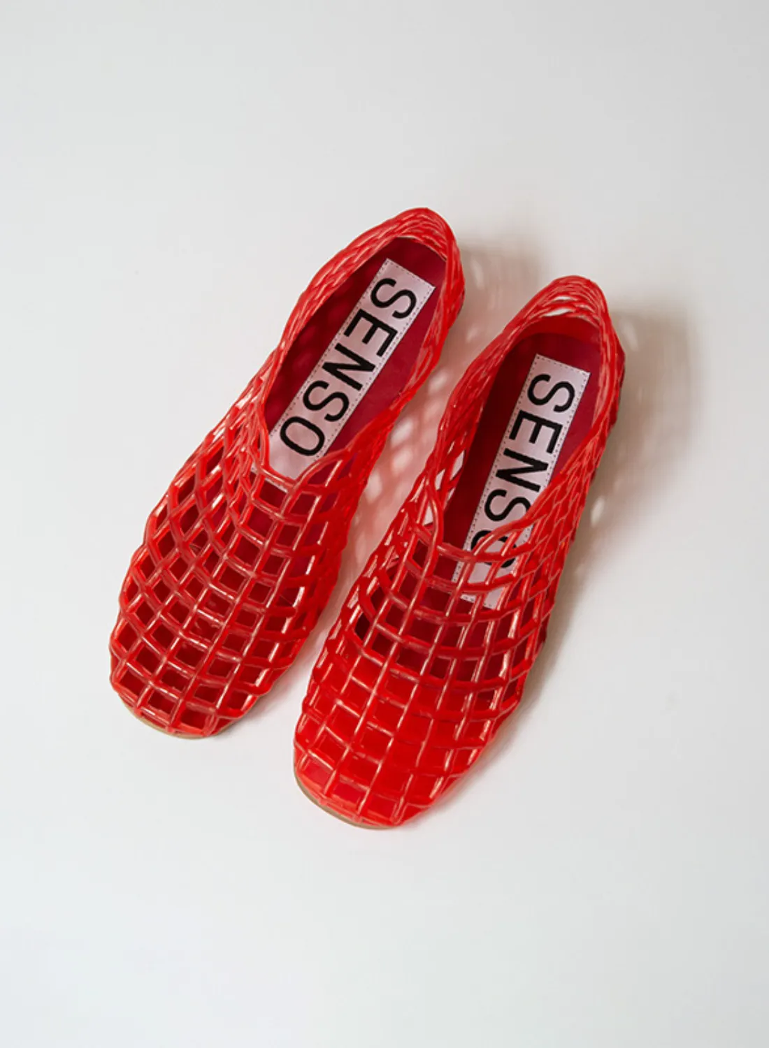 Senso Jellie in CHILLI